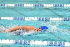 Swimming & Diving vs Babson  Swimming & Diving vs Babson College. - Photo by Keith Nordstrom : Wheaton, Swimming